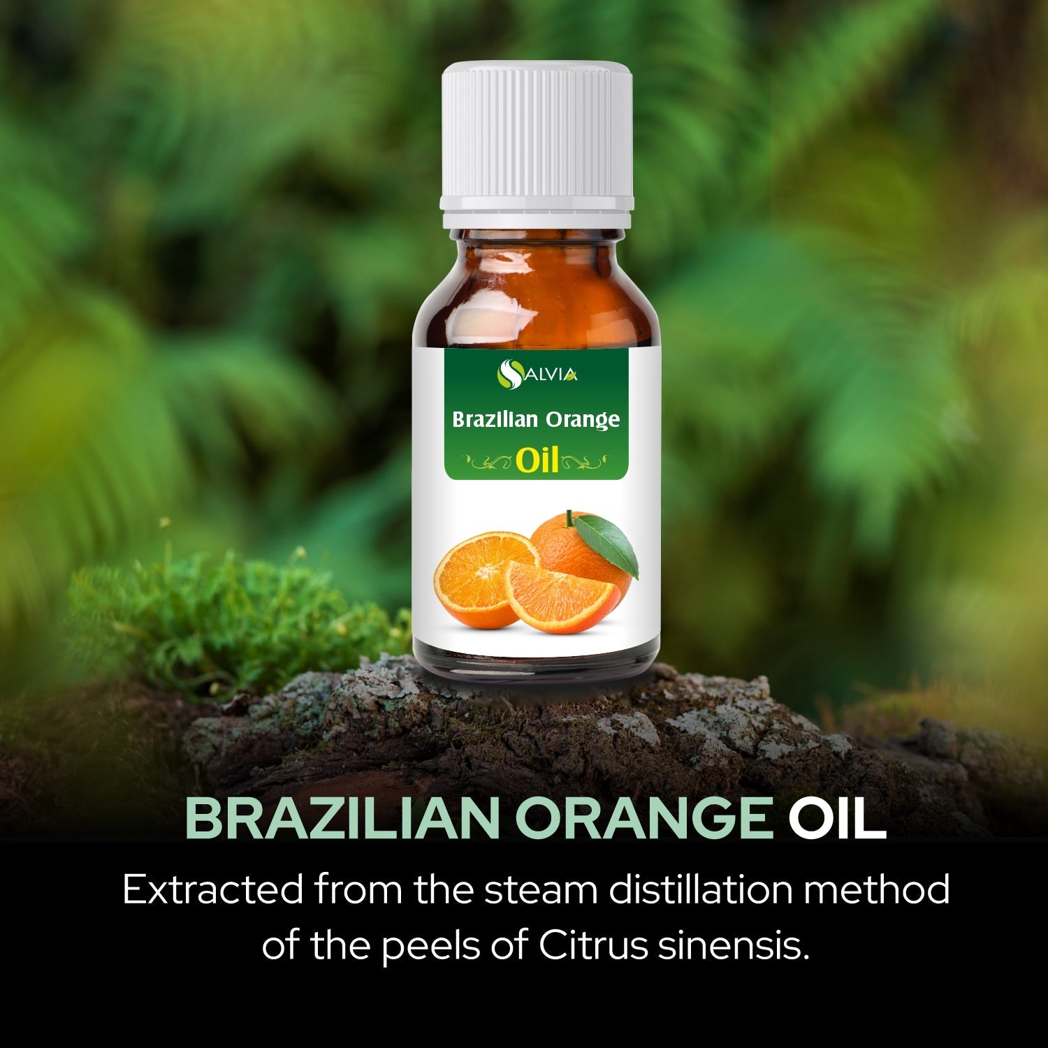 Salvia Natural Essential Oils,Dandruff,Greasy Oil,Anti Fungal,Anti-fungal Oil,Oil for Greasy Hair Brazillian Orange Salvia Natural Essential Oils,Dandruff,Greasy Oil,Anti Fungal,Anti-fungal Oil,Oil for Greasy Hair Brazillian Orange